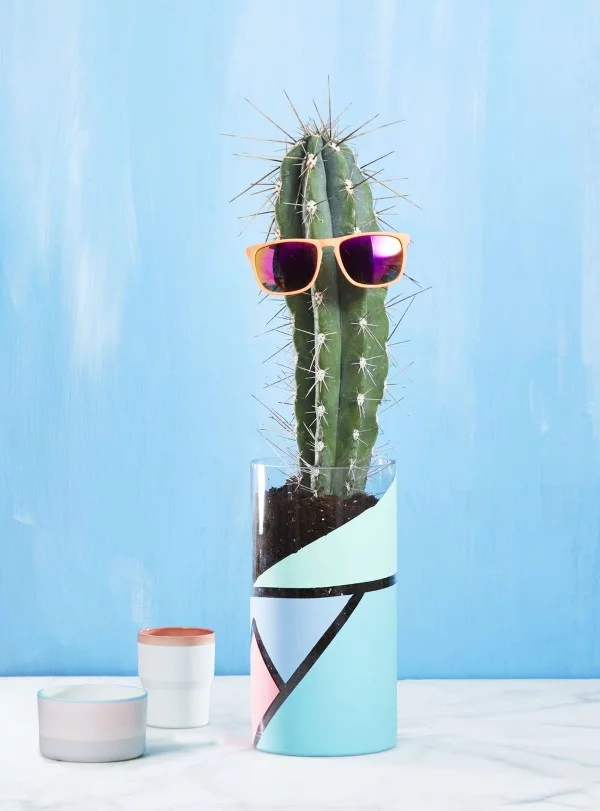 Glasvasen dekorieren – Ideen und Anleitung für künstlerisch begabte Bastler kaktus vase lustig