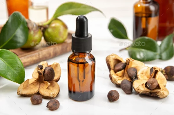 Camellia essential oil bottle and camellia seeds. Beauty, skin care, wellness
