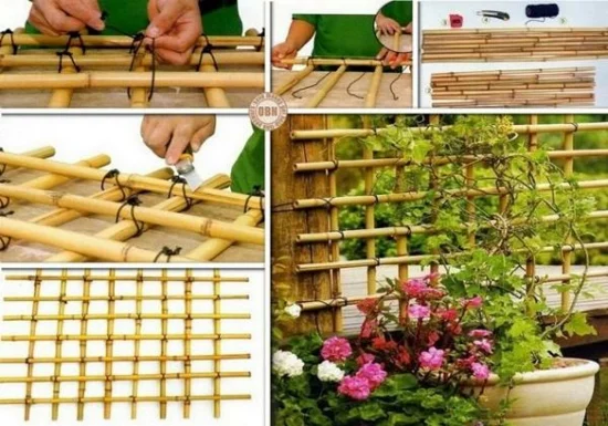 rankhilfe selber bauen aus bambus anleitung