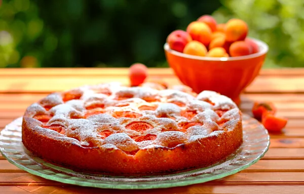 Aprikosenkuchen in runder Backform zubereitet serviert vorzüglicher Geschmack