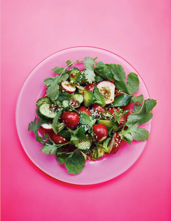 Frische Sommersalate vegetarisch Gurken und Radieschen mit Petersilie