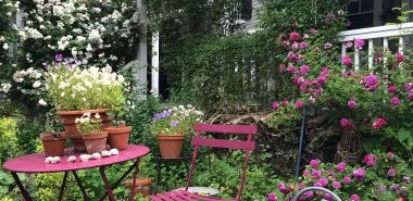 Wertvolle Tipps, wie Sie mehr Farbe in den Garten bringen können