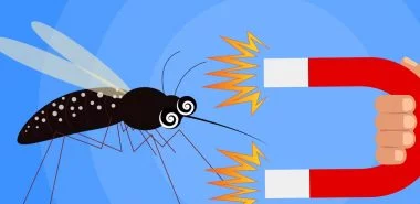 Was zieht Mücken an und wie kann man Mücken fernhalten- die aktuellsten Neuigkeiten