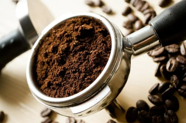 Kaffeesatz Vorteile natürliches Insektenschutzmittel