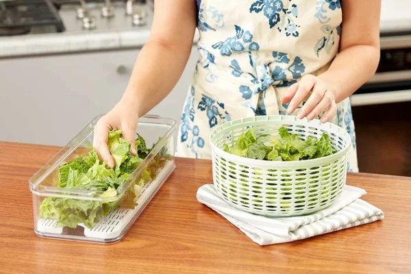 Salat aufbewahren Schritt für Schritt