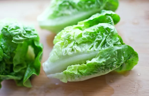 Salat im Kühlschrank lagern Salat Salatblätter