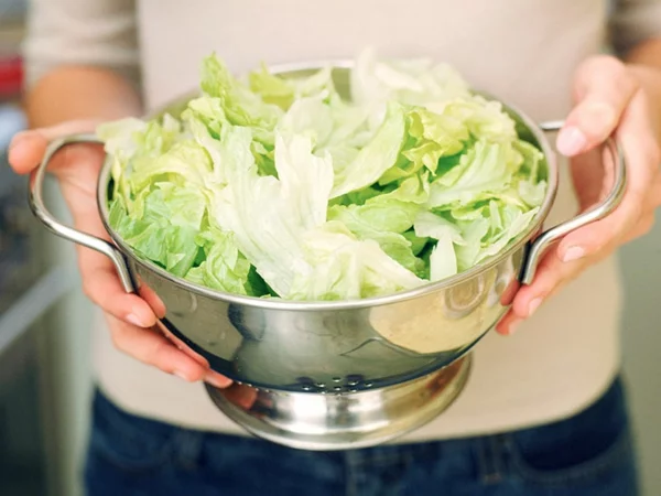 Salat lagern grünen Salat Salatblätter waschen