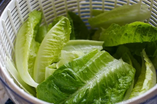 Salat vorbereiten und im Kühlschrank lagern