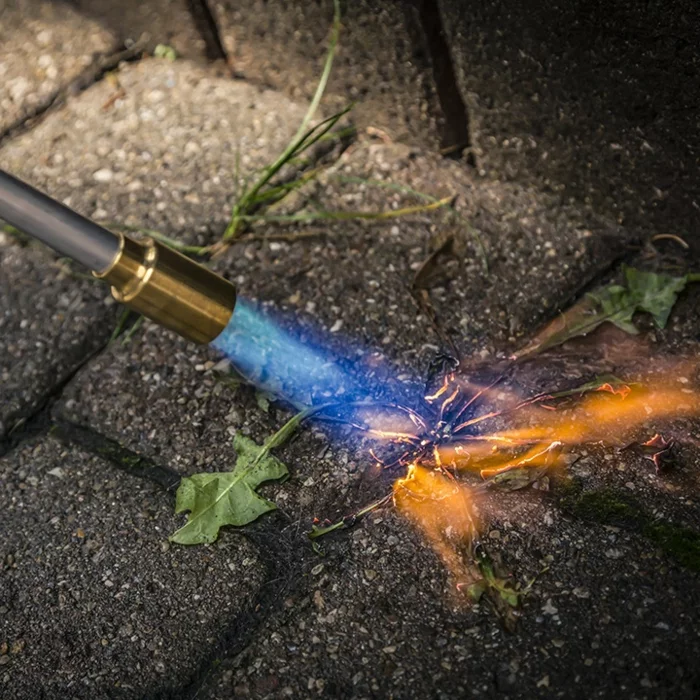 Unkraut aus Fugen entfernen werkzeug verbrennen