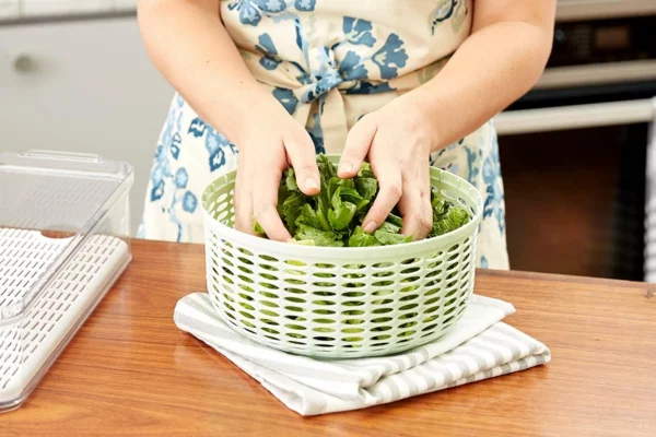 frischen Salat im Kühlschrank aufbewahren