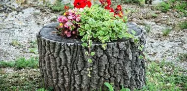 Baumstumpf dekorieren – kreative Ideen mit Liebe zur Natur