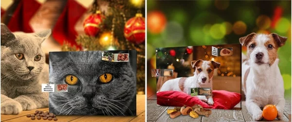 Foto-Adventskalender bestellen und die Vorweihnachtszeit voll auskosten4