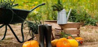 Gartenarbeit im Oktober: bereiten Sie Ihren Garten für den Winter vor!
