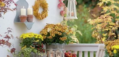 Herbstblumen für den Balkon - 9 der schönsten Blütenklassiker für die kühlere Jahreszeit