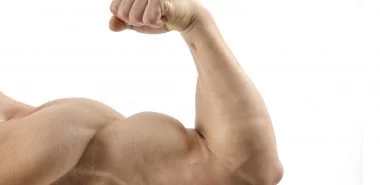 Muskeln aufbauen und die Rolle von Eiweiß dabei - allgemeine Tipps