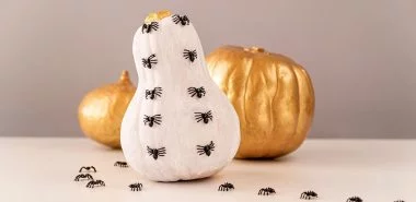 Weiße Halloween Deko – stilvolle Ideen, die doch Schreck erregen