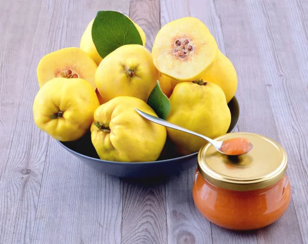 über Quitten wissen gelbe Früchte appetitlich aussehen in rohem Zustand steinhart beim Verzehr