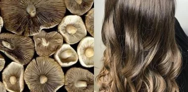 Mushroom Brown Hair: Finden Sie den perfekten Look für sich!