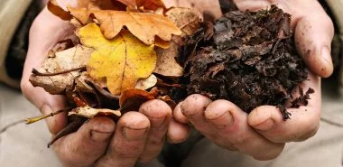 Laub kompostieren gehört zur Gartenarbeit im Herbst. Erfahren Sie, wie das geht!