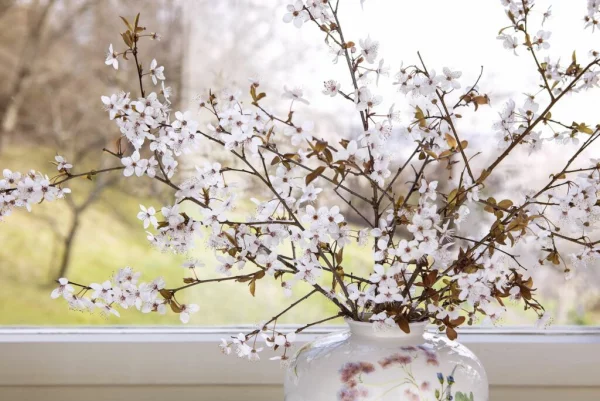 Barbarazweige Barbaratag zarte weiße Blüten in runder Vase am Fenster deko ideen