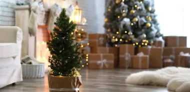 Christbaum nach Weihnachten – was sollten Sie wissen und machen?