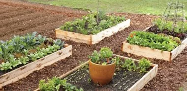 Ideen und Tipps für langfristige Gartenplanung für die kommenden Saisons