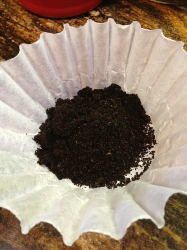 Kaffeesatz als Dünger für Rosen gartenarbeit im April kaffee filter