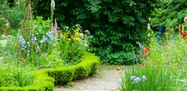 Gartensträucher sorgfältig auswählen - Ideen für Ihre eigene grüne Oase