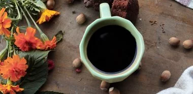 Hortensien lieben Kaffeesatz – wie und wann kann man diese Gartenschönheiten düngen?