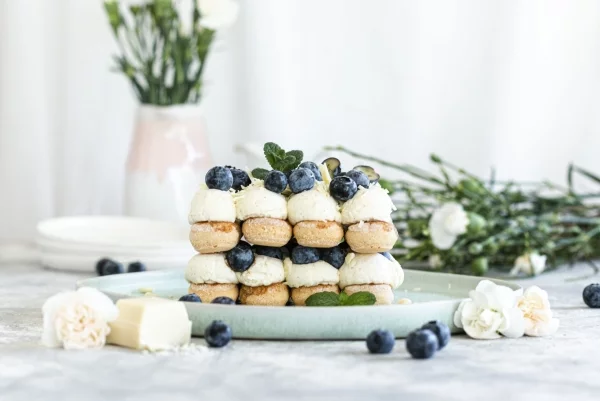 Blaubeeren Desserts mit Biskotten Mascarpone-Cremeblaue Heidelbeeren gesunde Sommerfrüchte