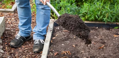 Bodenverbesserung – natürliche Mittel und Methoden