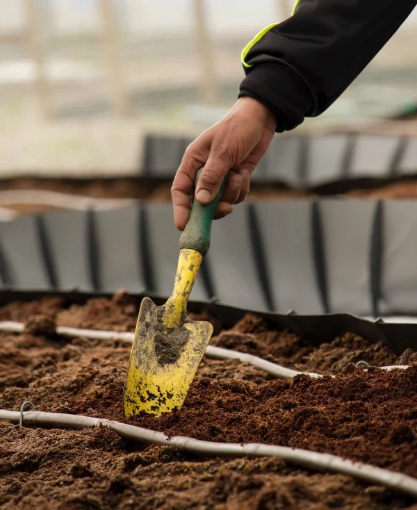 Bodenverbesserung – natuerliche Mittel und Methoden erde auflockern naehrstoffe versorgen
