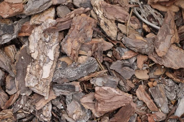Bodenverbesserung – natuerliche Mittel und Methoden garten mulchen mit holzrinde