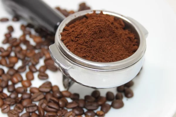 Kaffeesatz gegen Ameisen im Rasen und Garten ameisen mit kaffee vertreiben