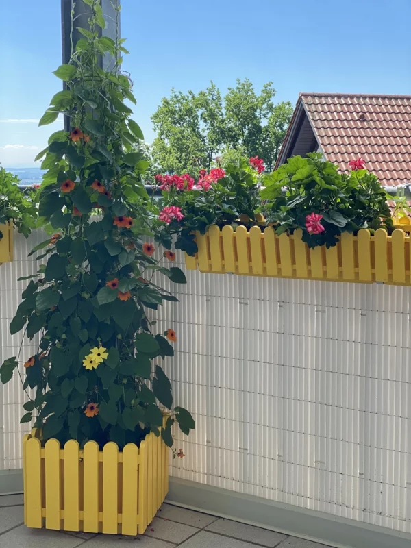balkonkasten bepflanzen gelbe akzente