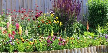 Bauerngarten anlegen: Ideen und Tipps für Ihre rustikale Outdoor-Oase
