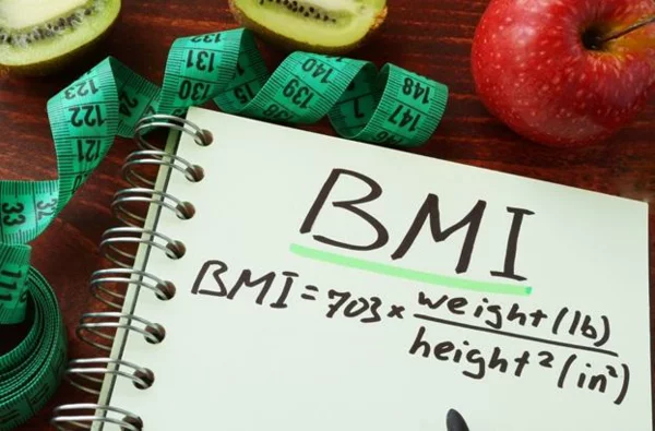 bmi index normalgewicht berechnen