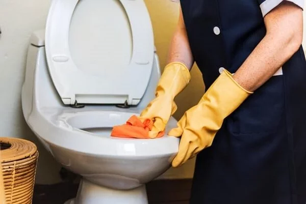 natürliche Reinigungsmittel gegen Urinstein WC reinigen