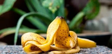 Bananenschalen als Dünger – wie nutzt man den Schalenabfall für Blumen und Gartenpflanzen
