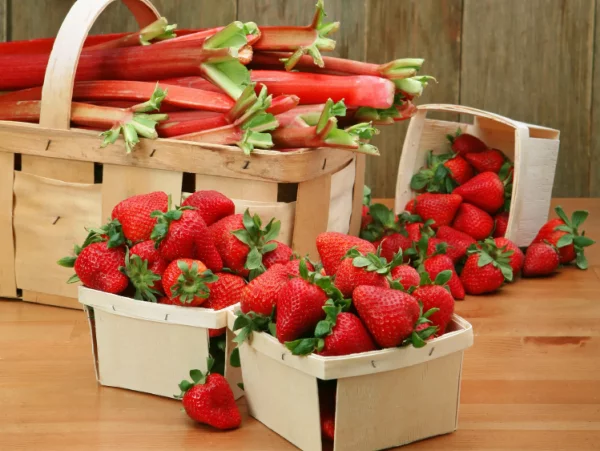 Erdbeer Rhabarber Torte – einfaches Rezept wie vom Konditor gesunde und saisonale fruechte essen