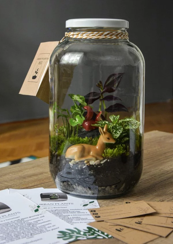 Flaschengarten selber machen – Leben im Glas diorama verschlossen mit reh