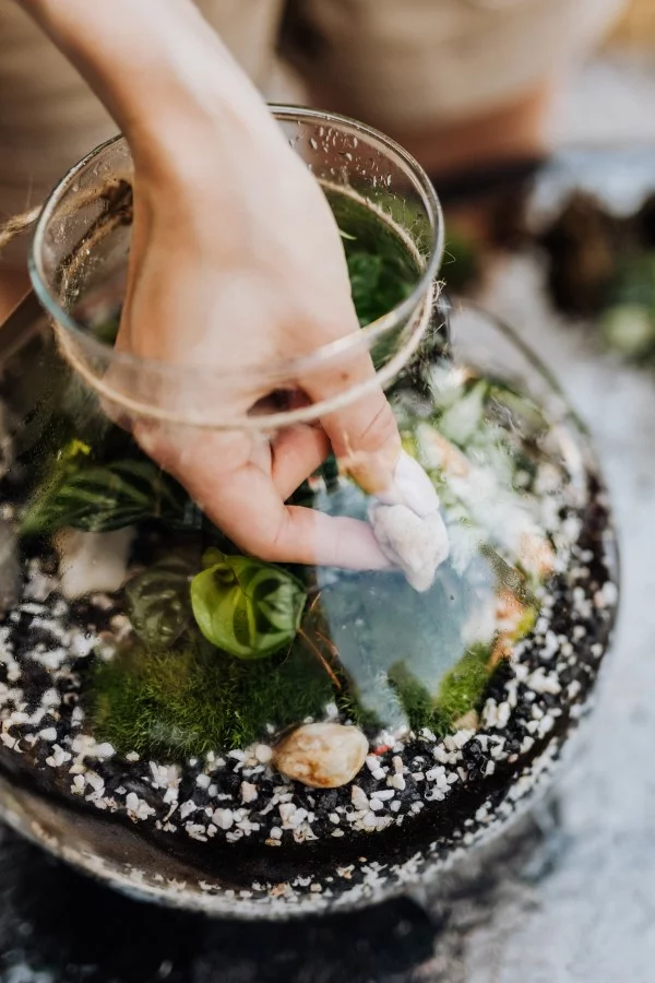 Flaschengarten selber machen – Leben im Glas glas arrangieren deko steine
