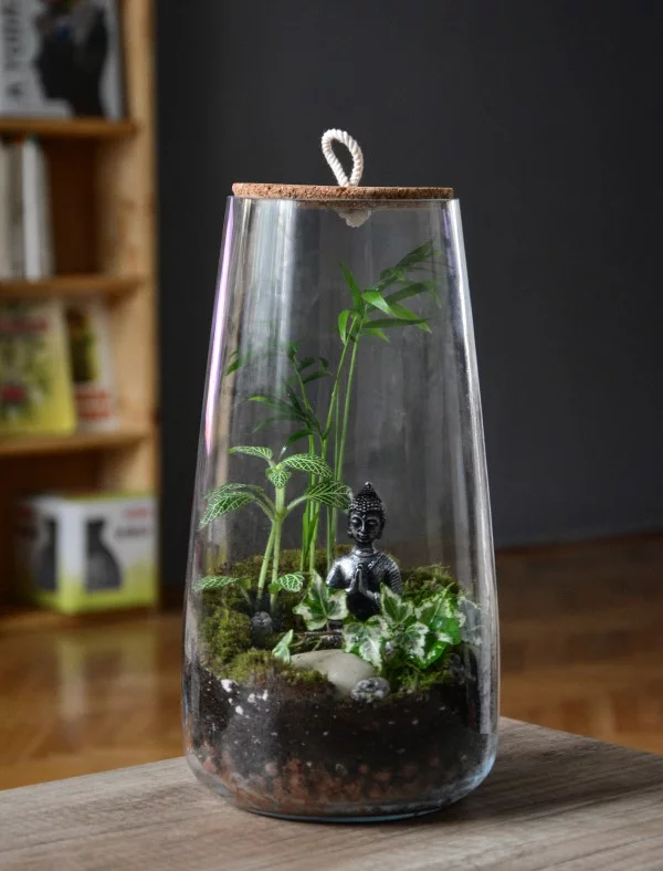 Flaschengarten selber machen – Leben im Glas interessante ideen mit zierpflanzen