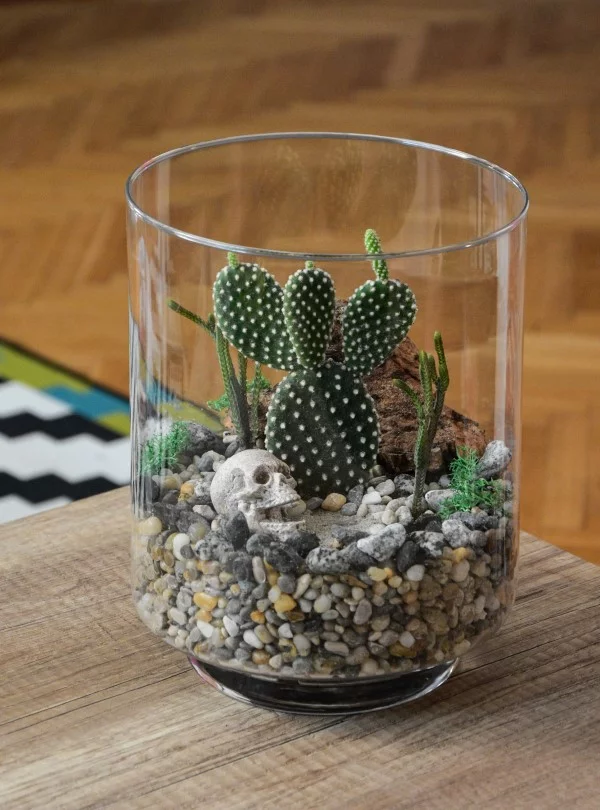 Flaschengarten selber machen – Leben im Glas kaktus im glas muss offen sein
