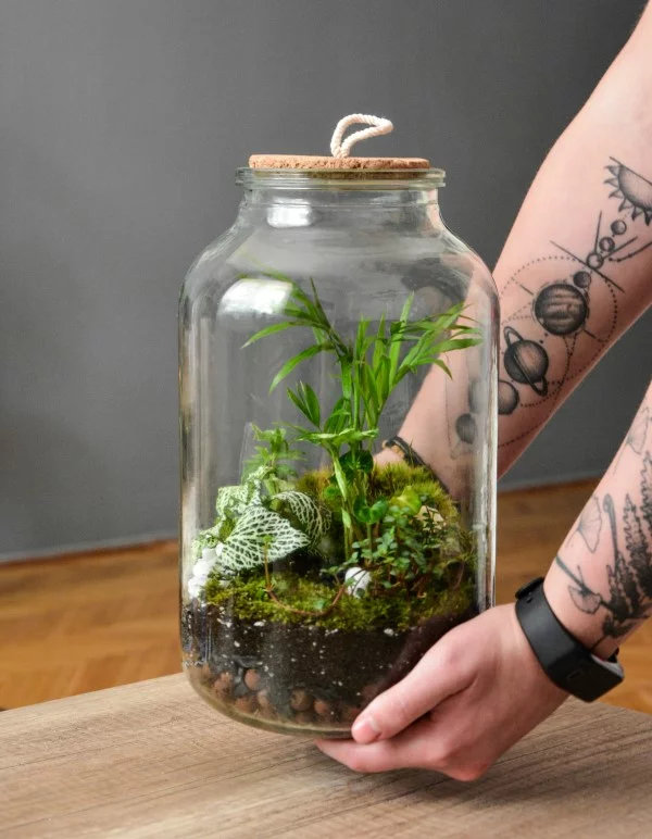 Flaschengarten selber machen – Leben im Glas schoene deko ideen lebend