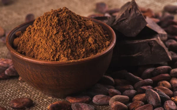 Trockenshampoo selber machen – schnelle und wirkungsvolle Rezepte kakao pulver natur gesundheit