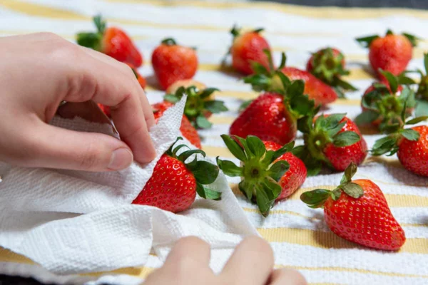 erdbeeren haltbar machen mit kuechenpapier