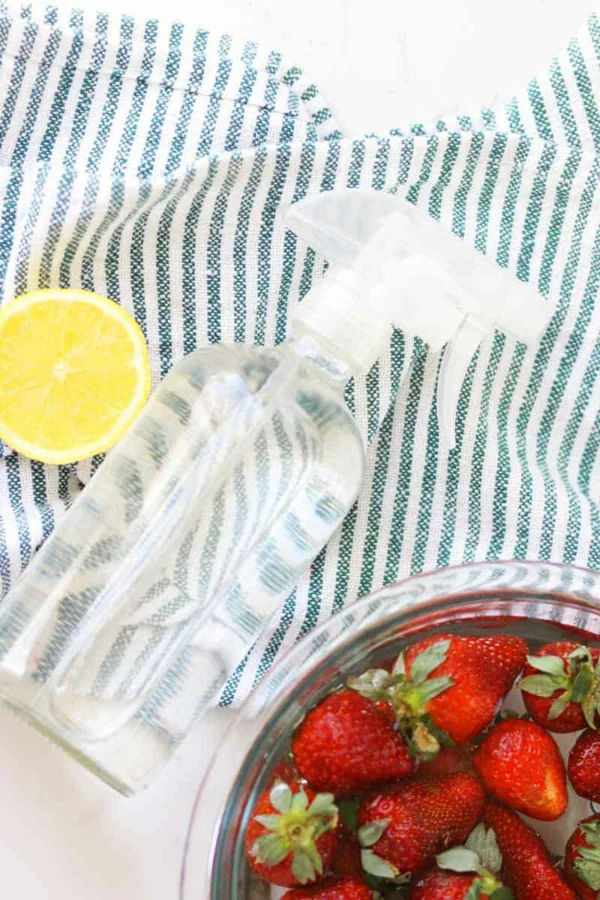 erdbeeren haltbar machen mit wasser und zitrone