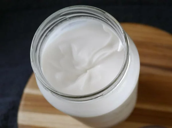 kokosjoghurt selber machen einfach schnell gesund