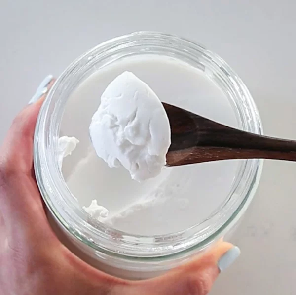 kokosjoghurt selber machen welche zutaten schritt fuer schritt